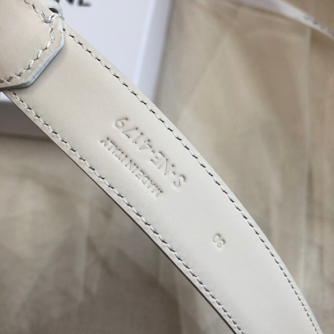 CELINE 25S BELT 25MM IN LIGHT GRAY CALFSKIN GOLD HARDWARE 562439 - 26 - 28