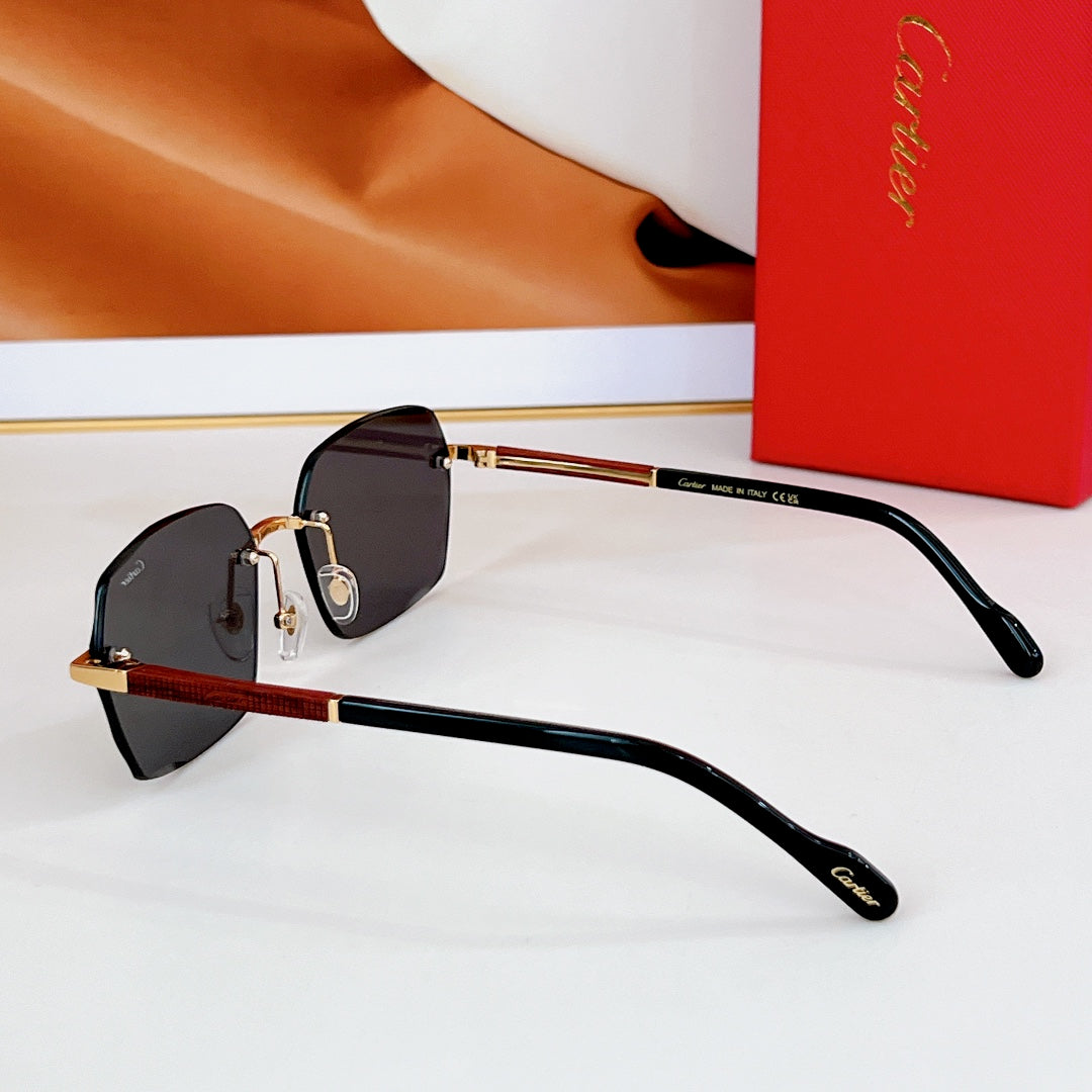 SANTOS SQUARE FRAME SUNGLASSES CT0483S IN METAL - Blue