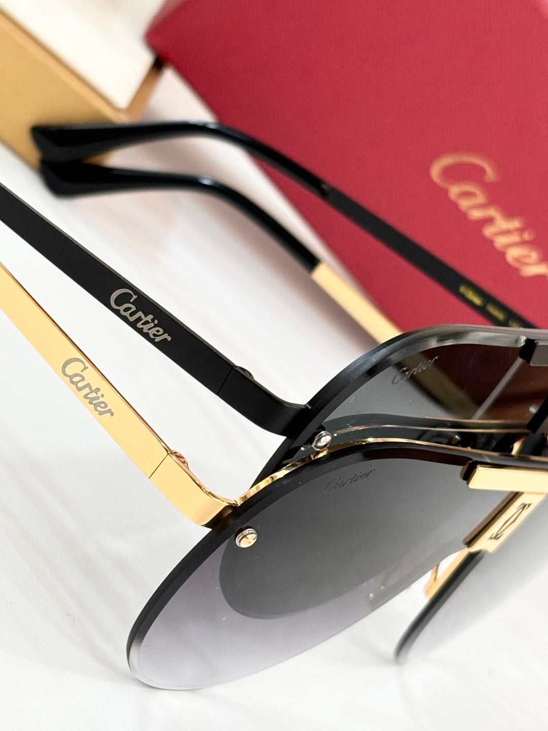 SIGNATURE C DE AVIATOR FRAME SUNGLASSES 524543 IN METAL - Pink