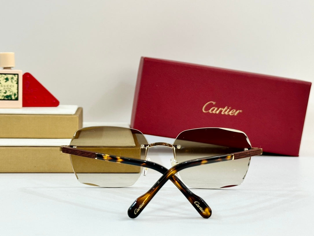 PREMIÈRE GEOMETRIC FRAME SUNGLASSES 530303 IN METAL AND WOODEN - Blue