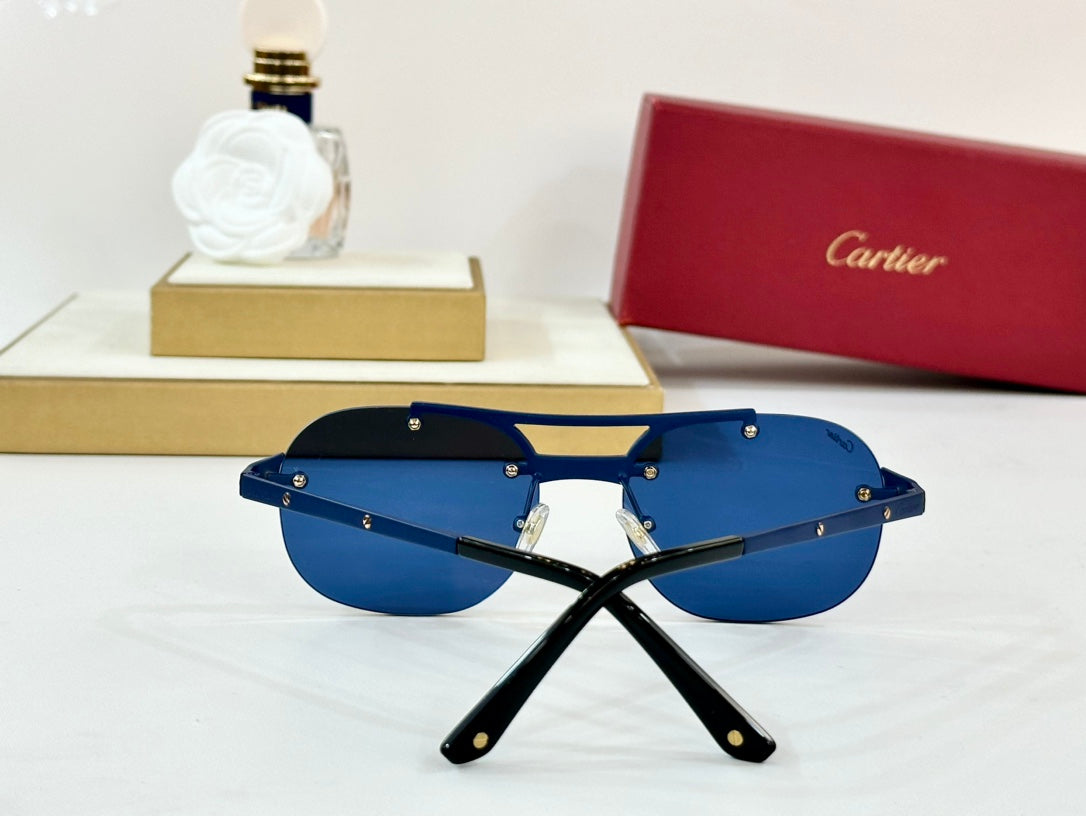 SANTOS ROUND FRAME SUNGLASSES CT00676 IN METAL - Dark purple