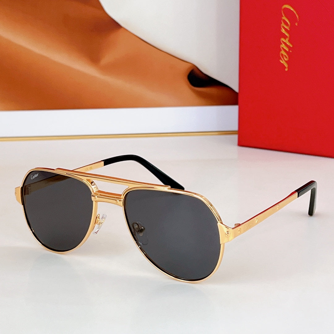 SANTOS AVIATOR FRAME SUNGLASSES CT0639S IN METAL - Brown