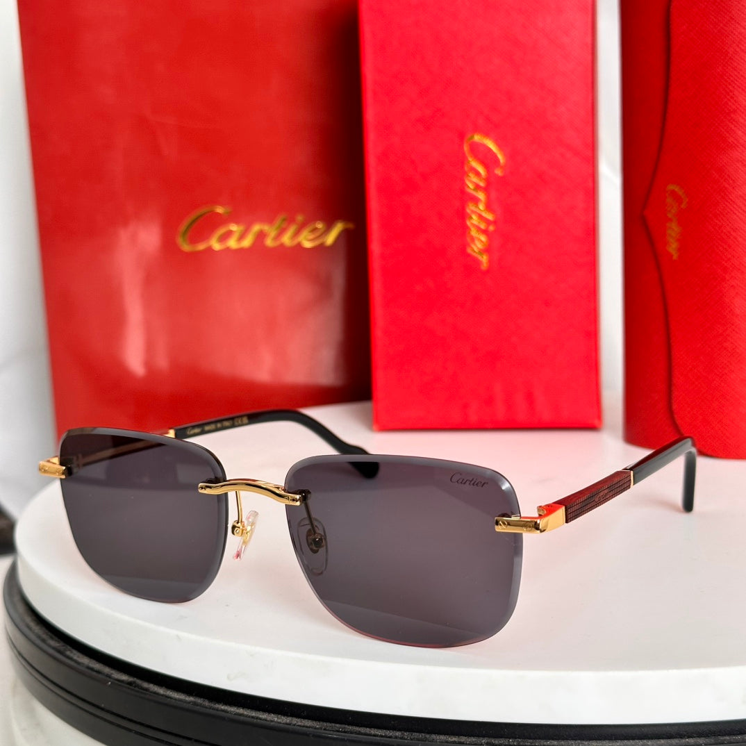 SANTOS ROUND FRAME SUNGLASSES 524480 IN METAL AND WOODEN - Black