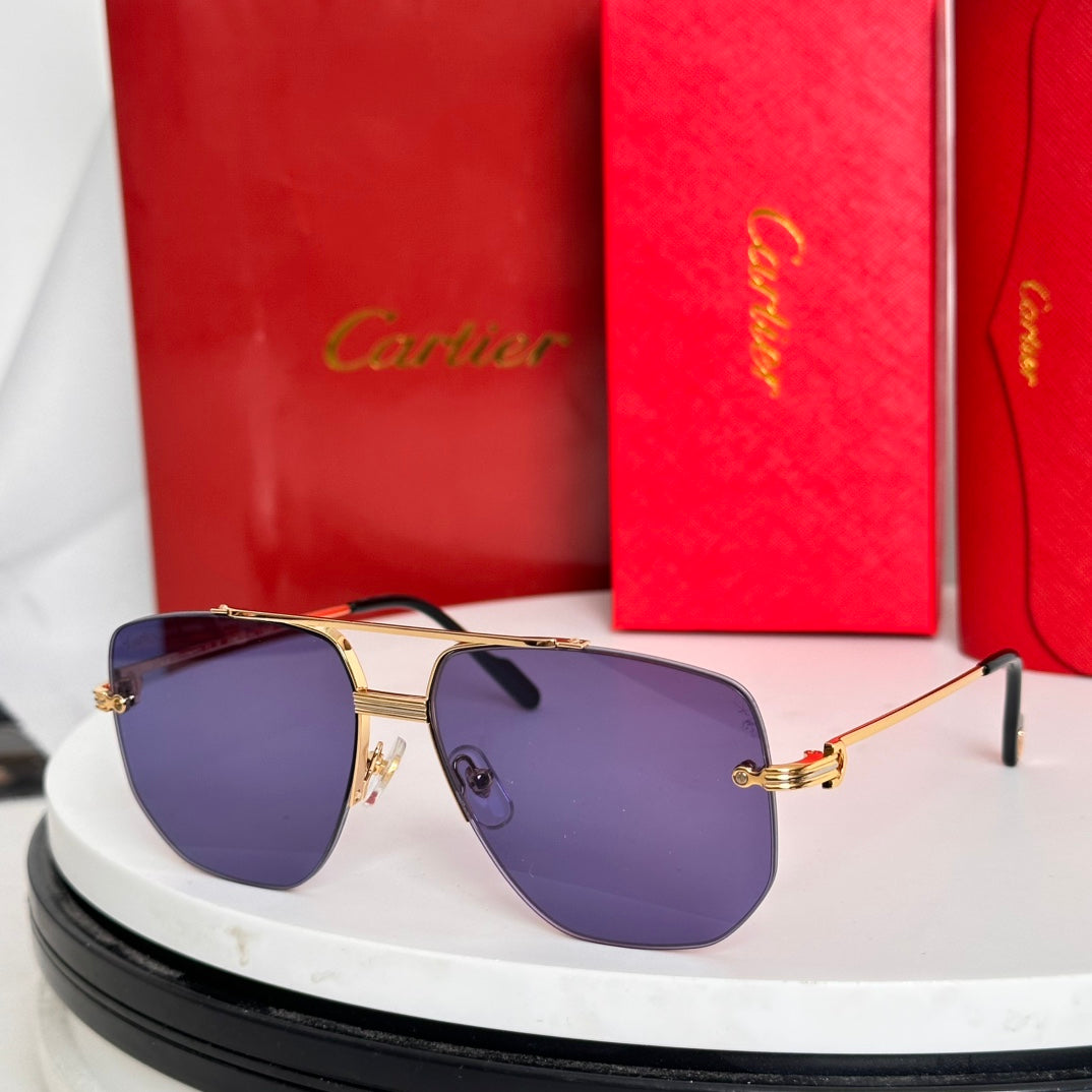PREMIÈRE NAVIGATOR FRAME SUNGLASSES CT6011S IN METAL - Light purple