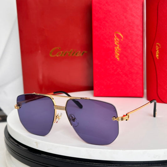 PREMIÈRE NAVIGATOR FRAME SUNGLASSES CT6011S IN METAL - Light purple