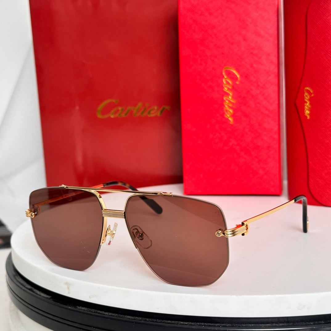 PREMIÈRE NAVIGATOR FRAME SUNGLASSES CT6011S IN METAL - Light purple