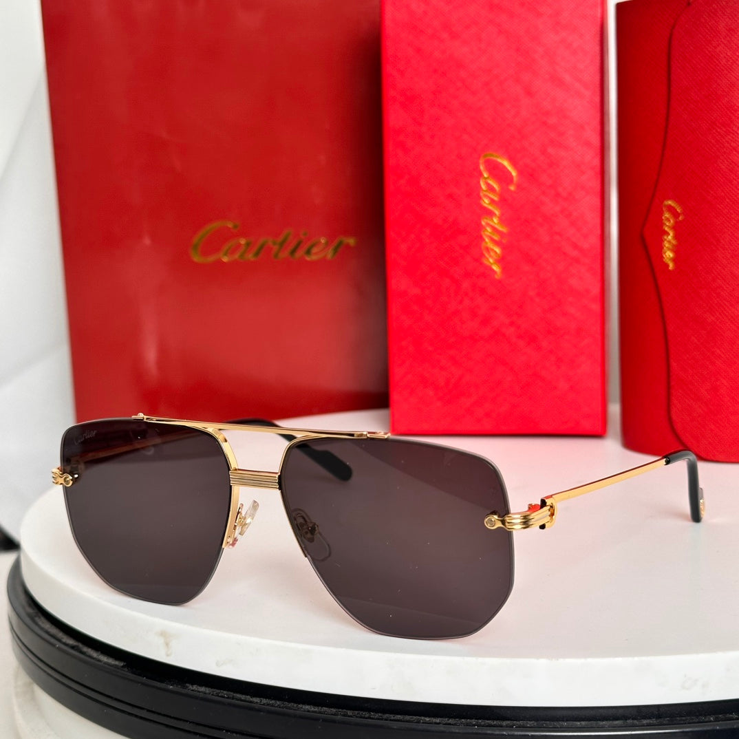 PREMIÈRE NAVIGATOR FRAME SUNGLASSES CT6011S IN METAL - Light purple