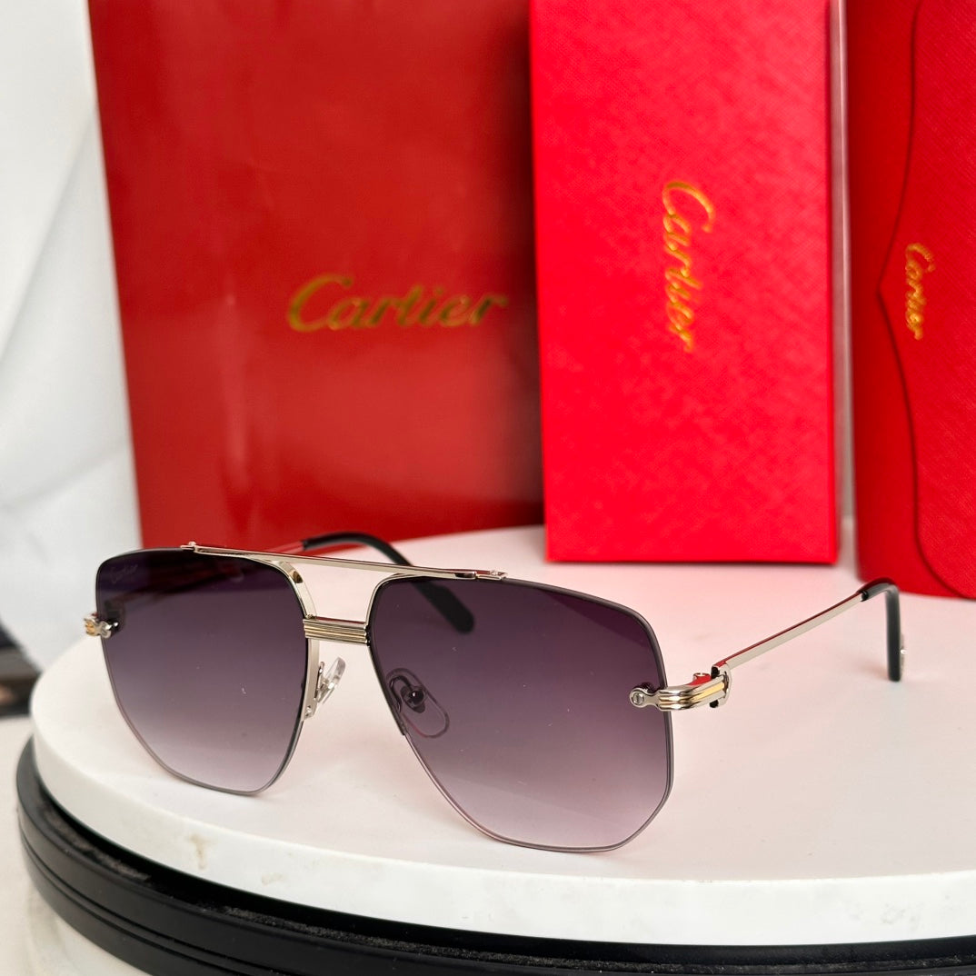 PREMIÈRE NAVIGATOR FRAME SUNGLASSES CT6011S IN METAL - Light purple