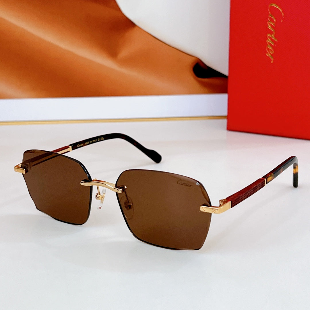 SANTOS SQUARE FRAME SUNGLASSES CT0483S IN METAL - Blue