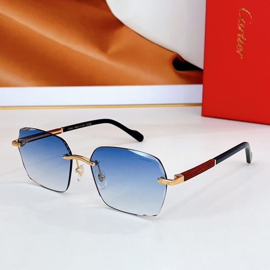 SANTOS SQUARE FRAME SUNGLASSES CT0483S IN METAL - Blue