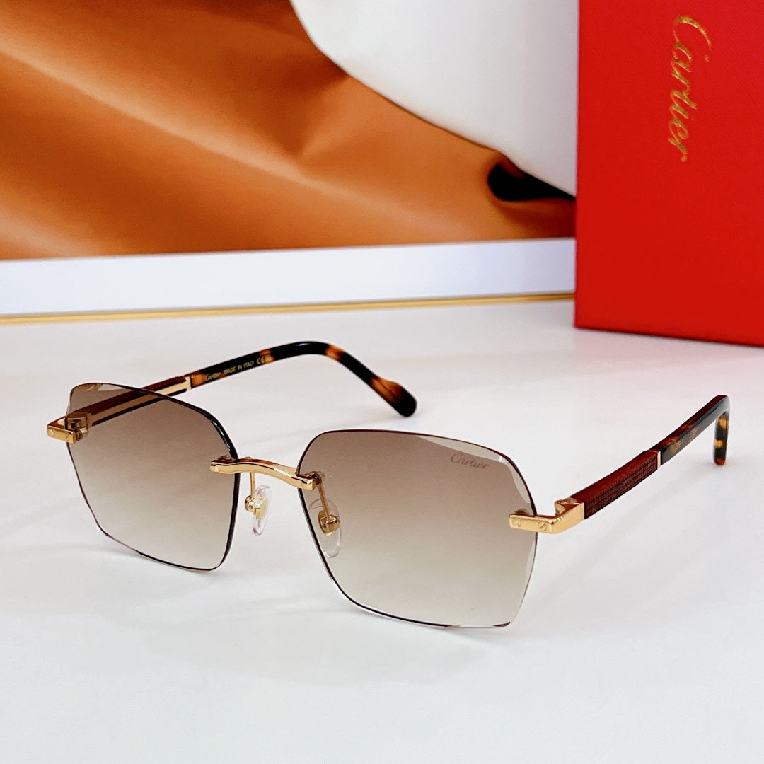 SANTOS SQUARE FRAME SUNGLASSES CT0483S IN METAL - Blue