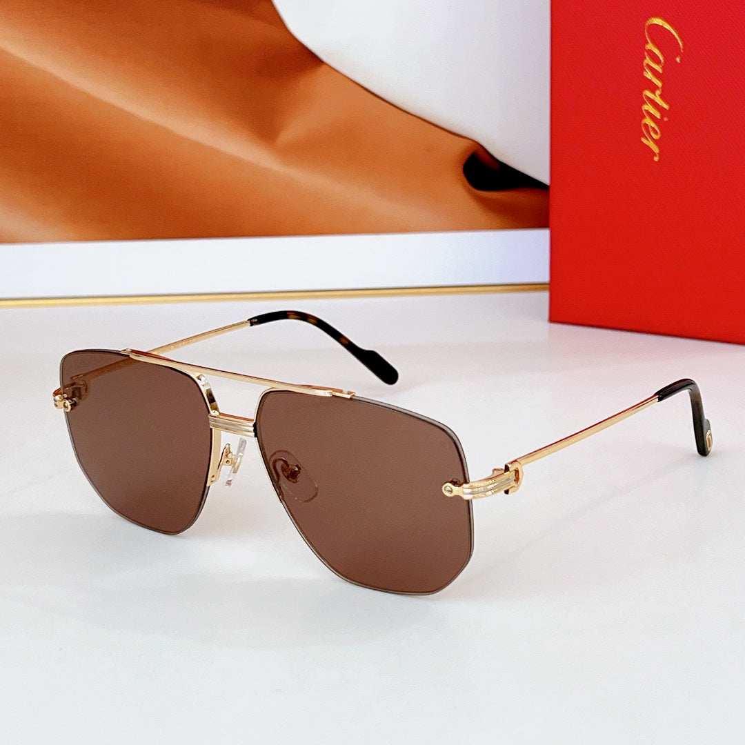 PREMIÈRE NAVIGATOR FRAME SUNGLASSES CT6011S IN METAL - Green