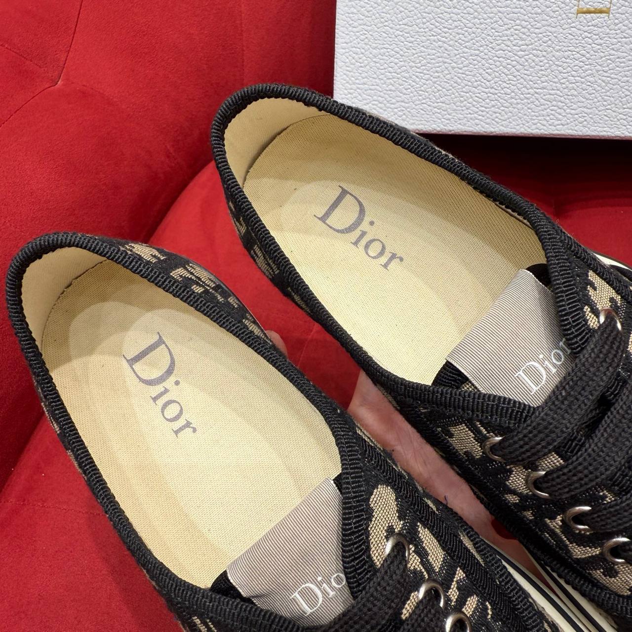 Dior Oblique Canvas Low-Top Sneakers in Black and Beig