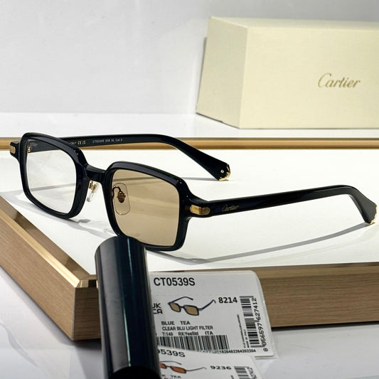 PREMIÈRE SQUARE FRAME SUNGLASSES CT0539S IN ACETATE - Yellow photochromic lenses