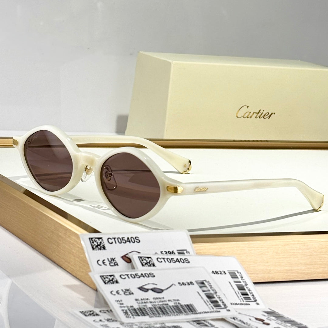 PREMIÈRE GEOMETRIC FRAME SUNGLASSES CT0540S IN ACETATE - Dark brown tortoiseshell