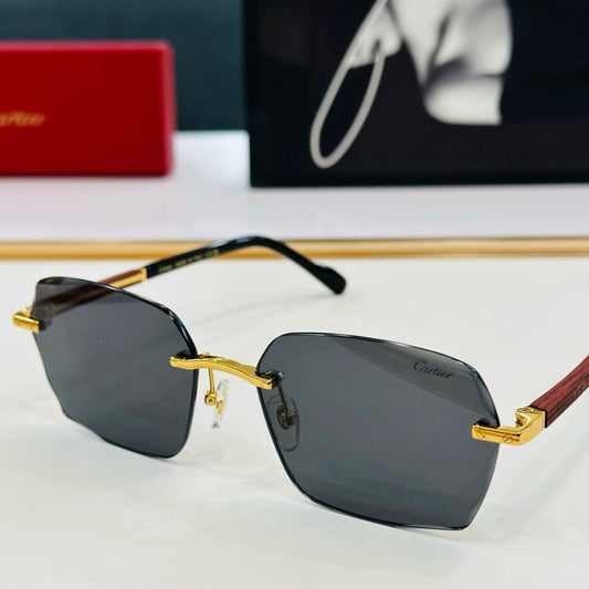 SIGNATURE C DE RECTANGULAR FRAME SUNGLASSES CT0483S IN METAL AND WOODEN - Black