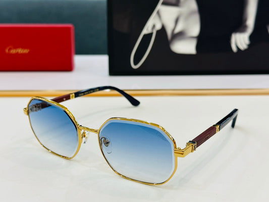 PREMIÈRE GEOMETRIC FRAME SUNGLASSES CT0492S IN METAL - Gold/ smoke