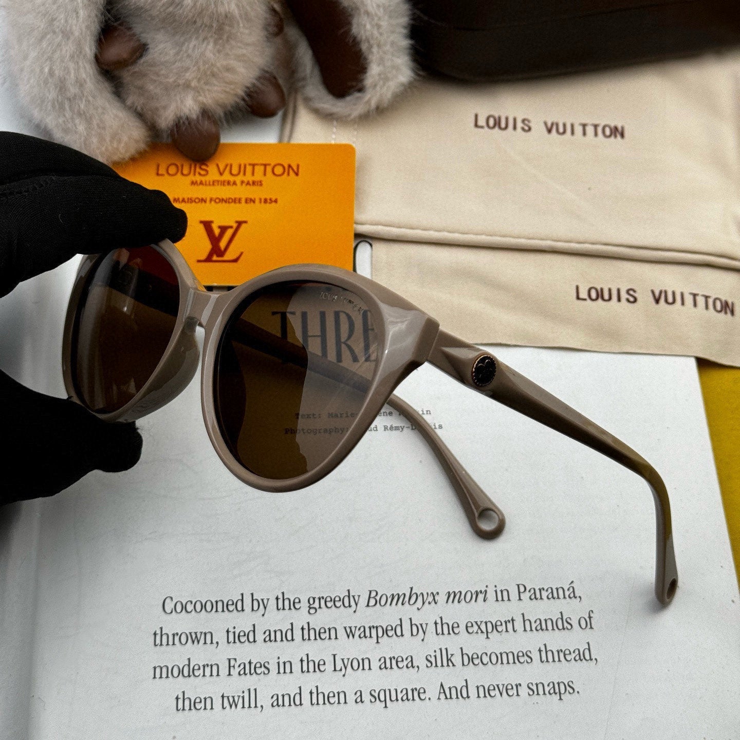 CAT EYE SUNGLASSES L6907 IN ACETATE - Dark Beige