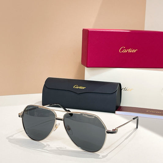 PREMIÈRE AVIATOR FRAME SUNGLASSES CT0334S IN METAL - Silver/ smoke
