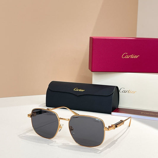PREMIÈRE SQUARE FRAME SUNGLASSES CT0485S IN METAL - Gold/ smoke
