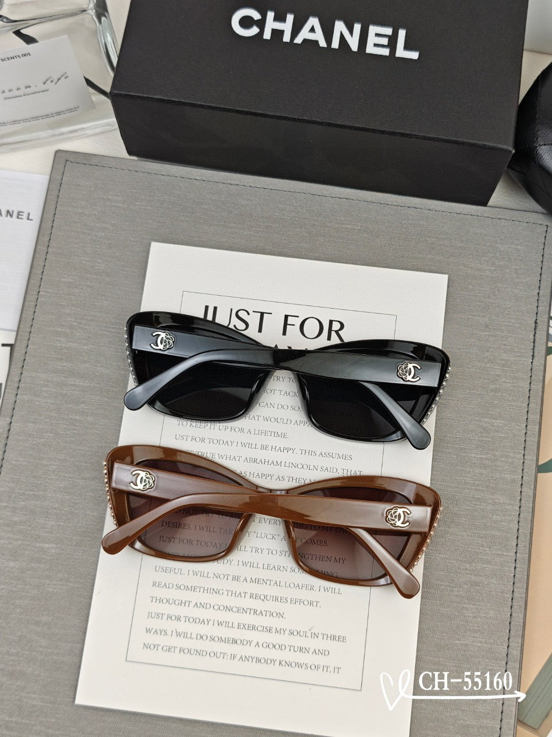 CAT EYE SUNGLASSES 55160 IN ACETATE - Black