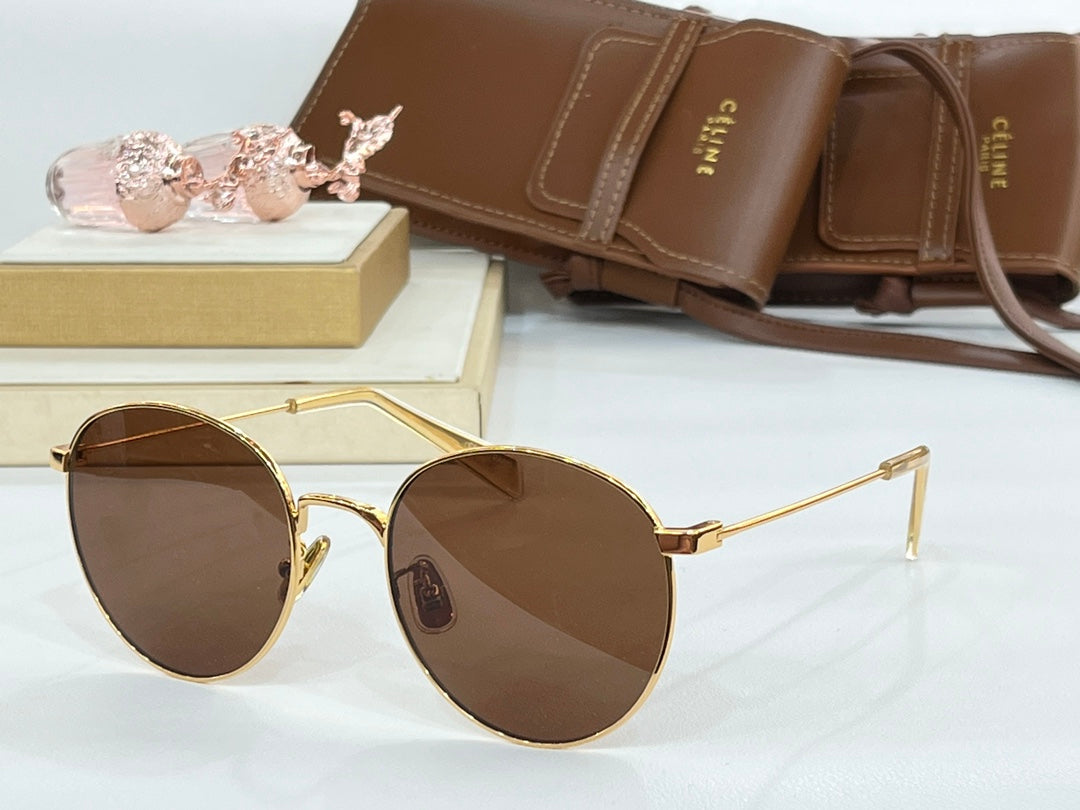 SUNGLASS CL40100 IN METAL MINERAL GLASS LENSES - Silver/Black Lenses