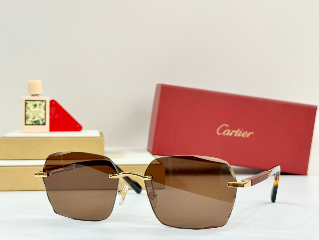 PREMIÈRE GEOMETRIC FRAME SUNGLASSES 530303 IN METAL AND WOODEN - Blue