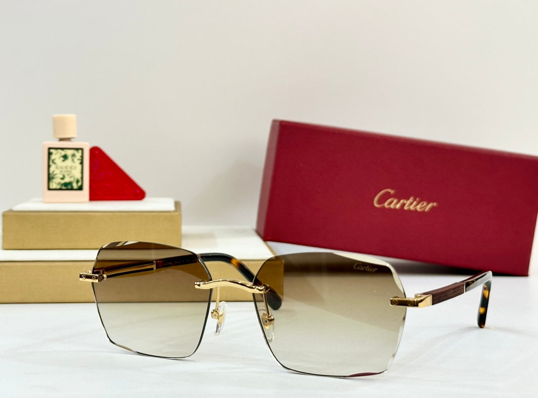 PREMIÈRE GEOMETRIC FRAME SUNGLASSES 530303 IN METAL AND WOODEN - Blue