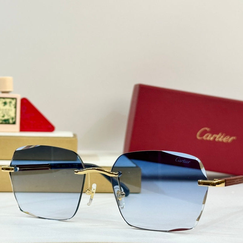 PREMIÈRE GEOMETRIC FRAME SUNGLASSES 530303 IN METAL AND WOODEN - Blue