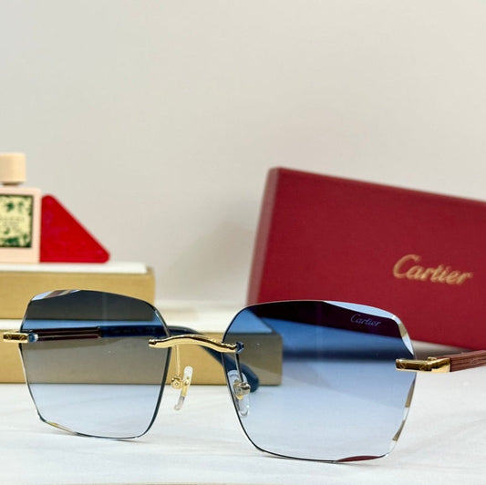 PREMIÈRE GEOMETRIC FRAME SUNGLASSES 530303 IN METAL AND WOODEN - Blue