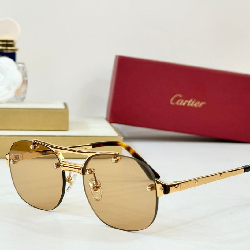 SANTOS ROUND FRAME SUNGLASSES CT00676 IN METAL - Dark purple
