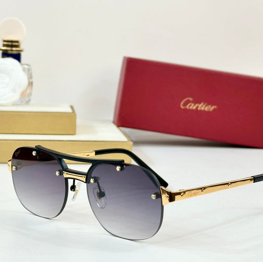 SANTOS ROUND FRAME SUNGLASSES CT00676 IN METAL - Dark purple