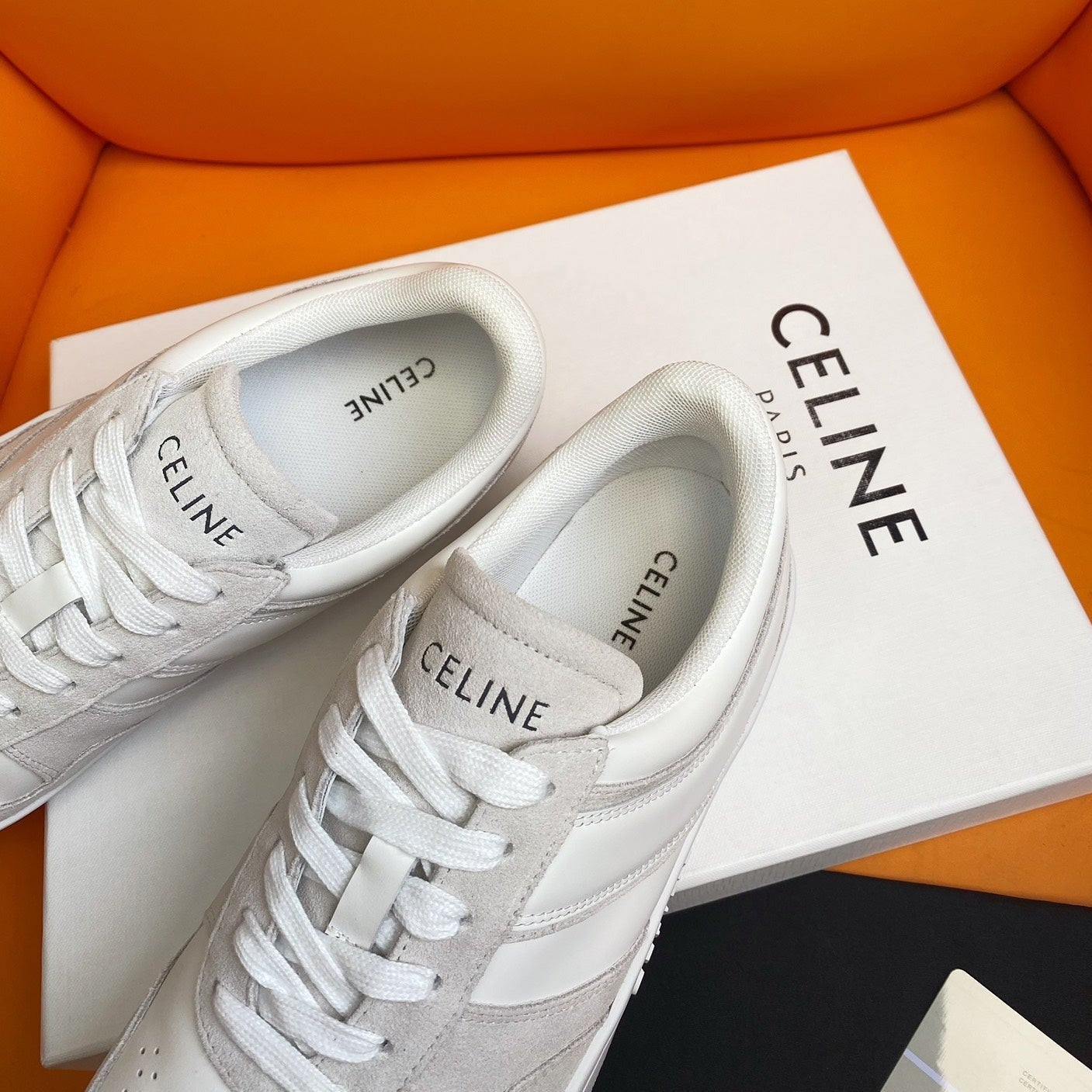 TRAINER LOW LACE-UP SNEAKER IN CALFSKIN OPTIC WHITE PEARL GRAY - 35