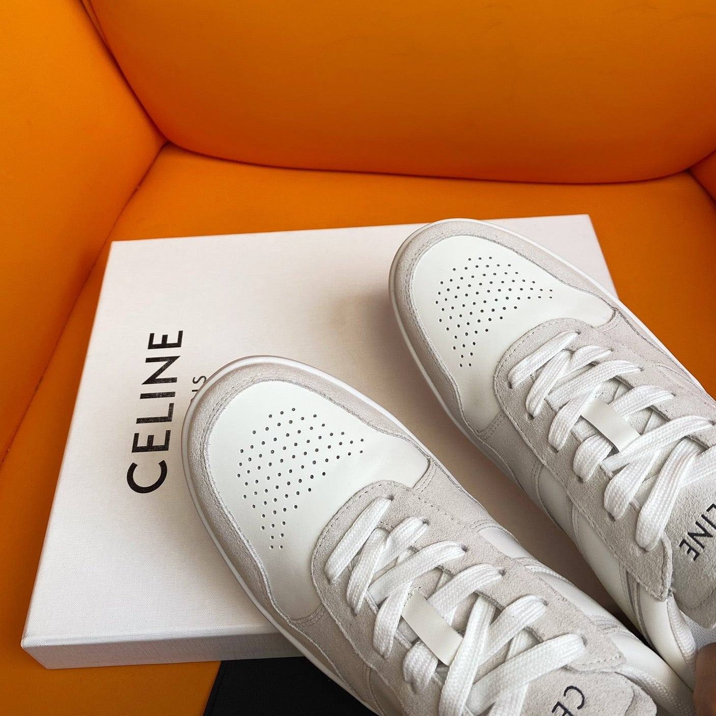 TRAINER LOW LACE-UP SNEAKER IN CALFSKIN OPTIC WHITE PEARL GRAY - 35