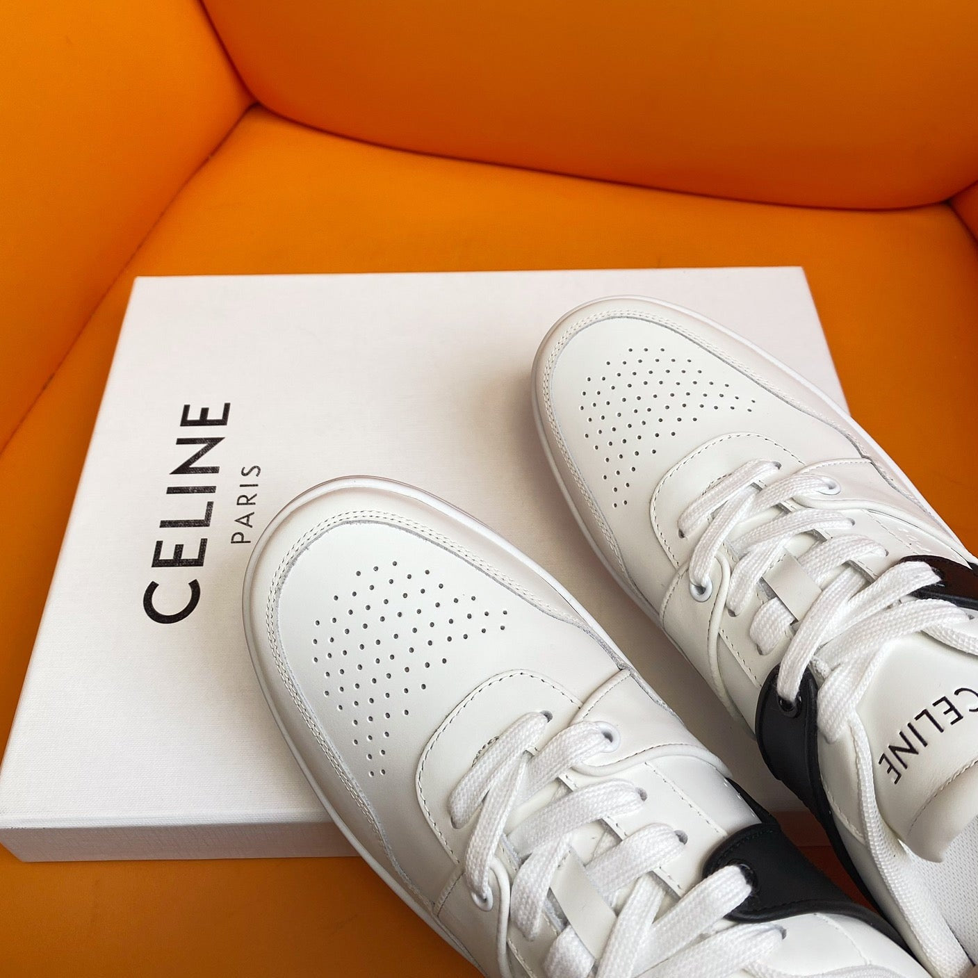 TRAINER LOW LACE-UP SNEAKER IN CALFSKIN OPTIC WHITE BLACK - 35