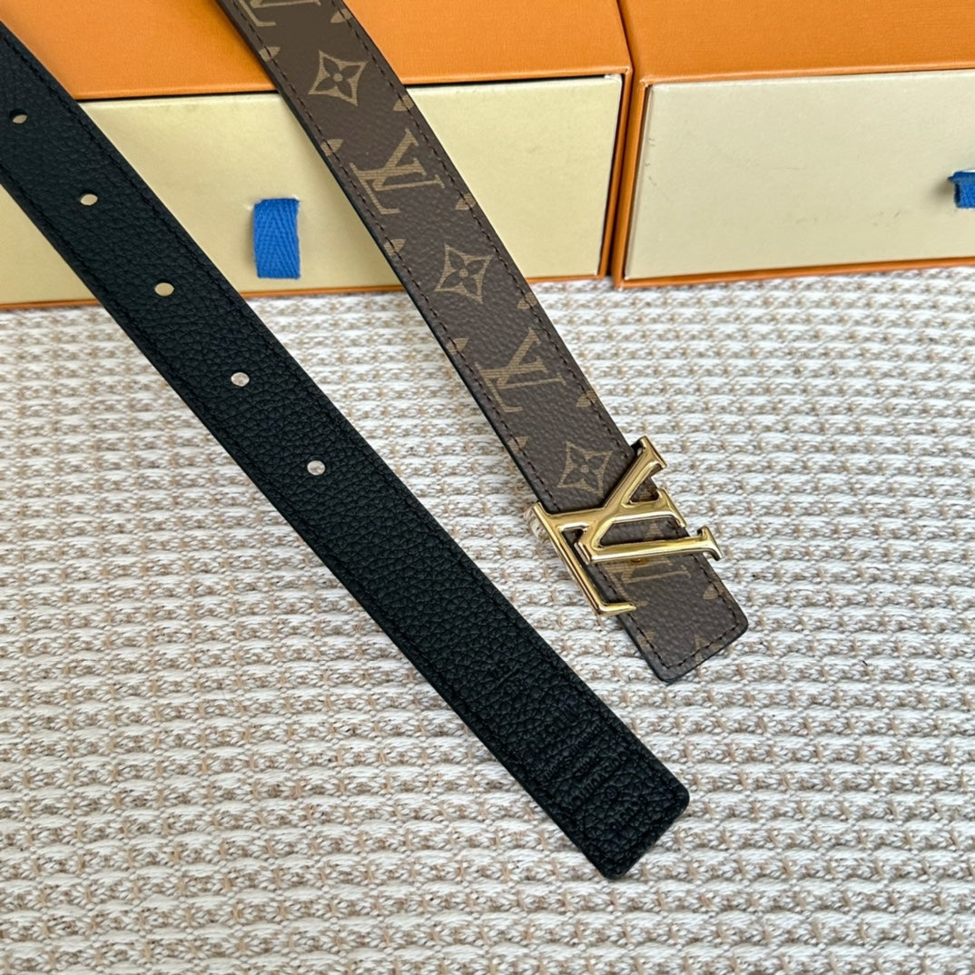 LV ICONIC 25 MM IN BROWN DAMIER CALFSKIN SILVER HARDWARE - 30