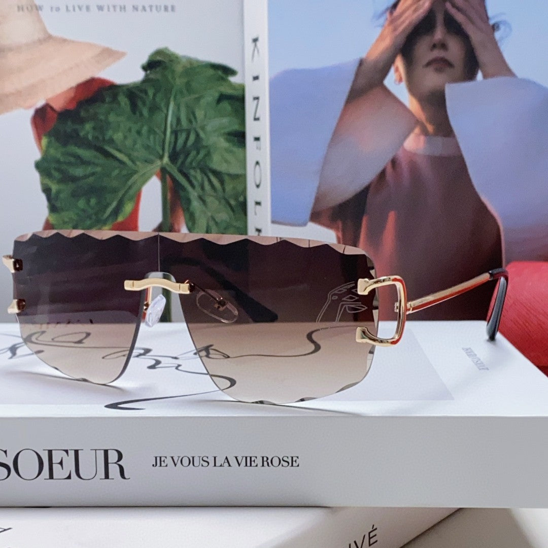 C DE RIMLESS NAVIGATOR FRAME SUNGLASSES 548665 IN METAL - Dark purple
