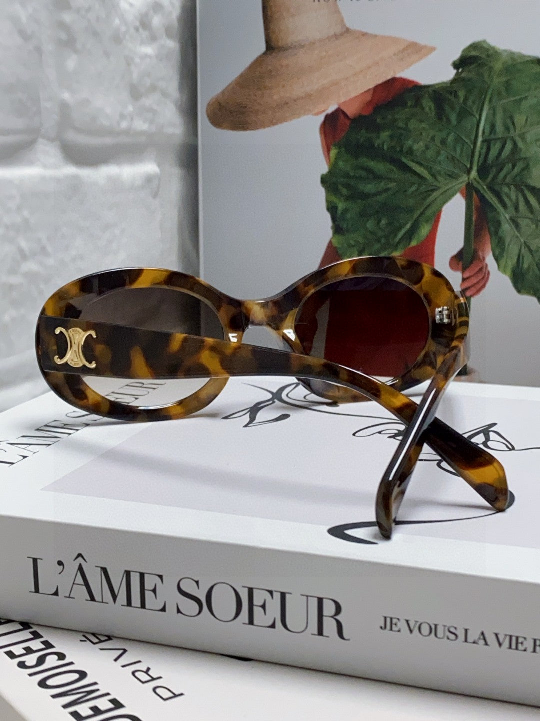 TRIOMPHE SUNGLASSES CL40194 IN ACETATE - Black/Gold Logo