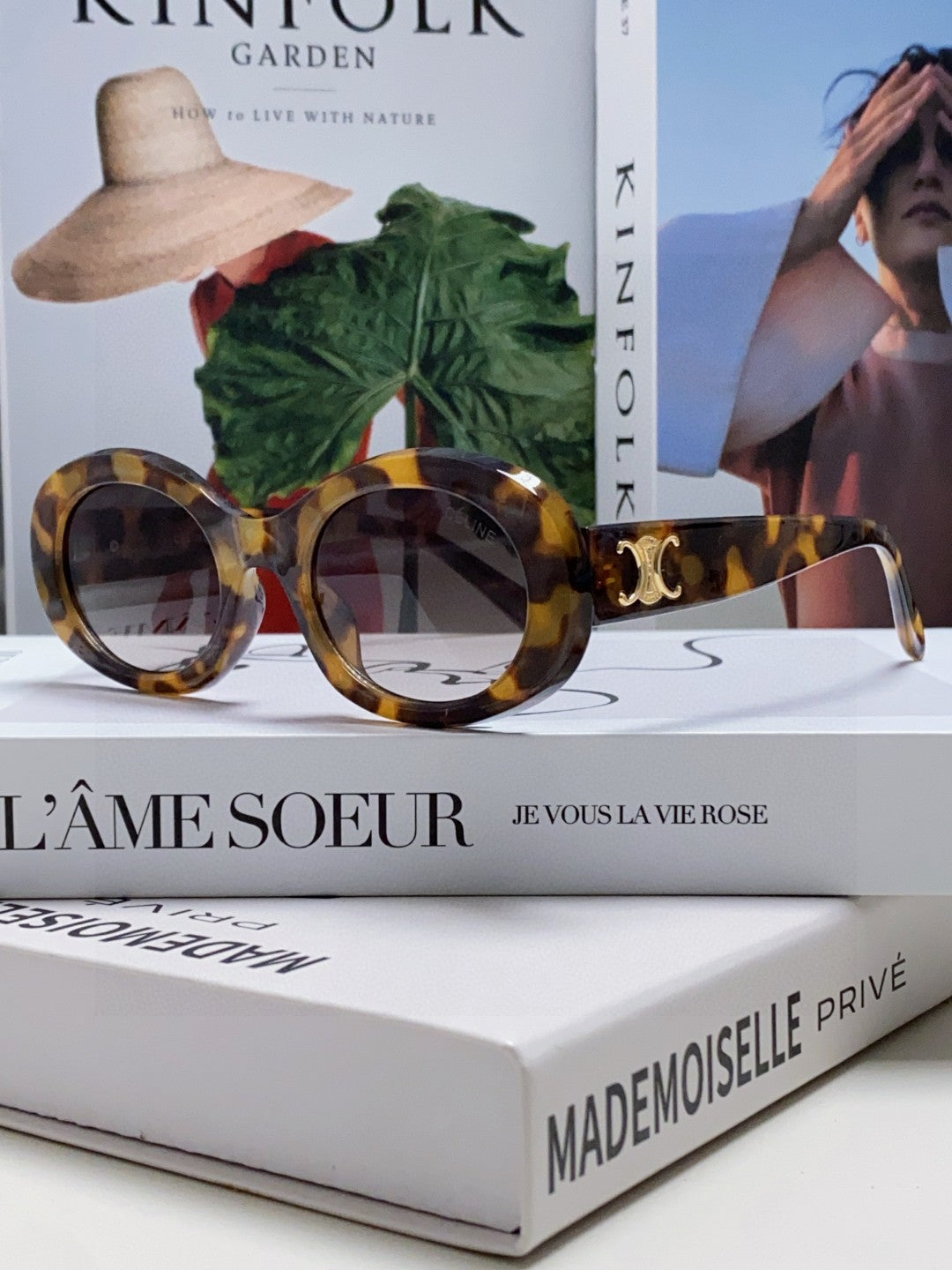 TRIOMPHE SUNGLASSES CL40194 IN ACETATE - Black/Gold Logo