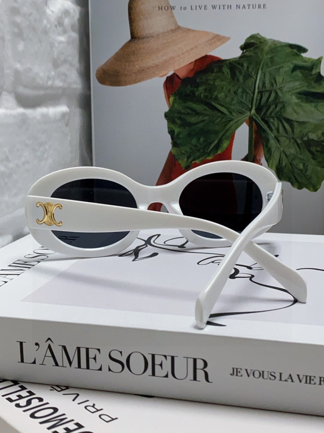 TRIOMPHE SUNGLASSES CL40194 IN ACETATE - Black/Gold Logo