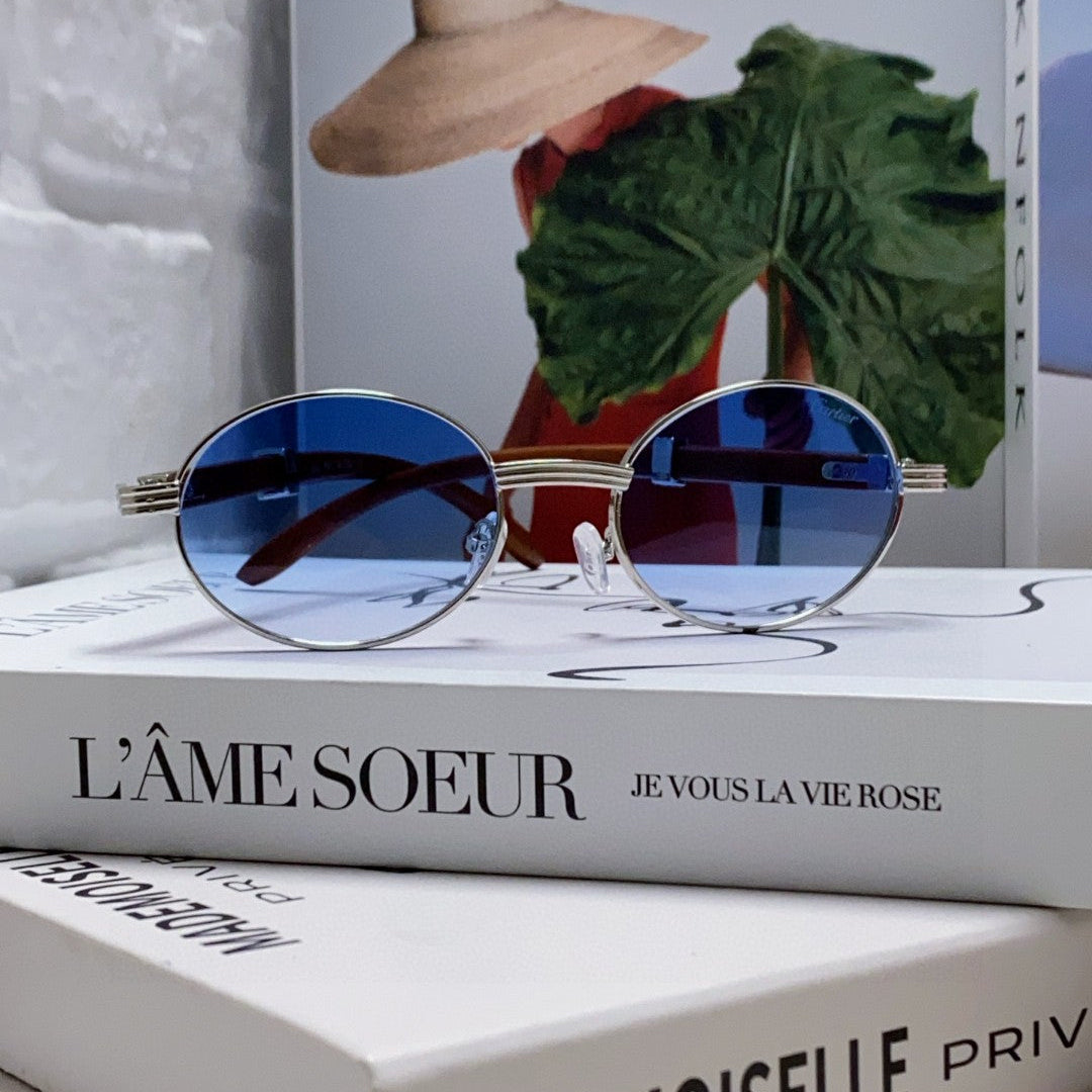 PREMIÈRE ROUND FRAME SUNGLASSES CT0464S IN METAL - Gradient brown