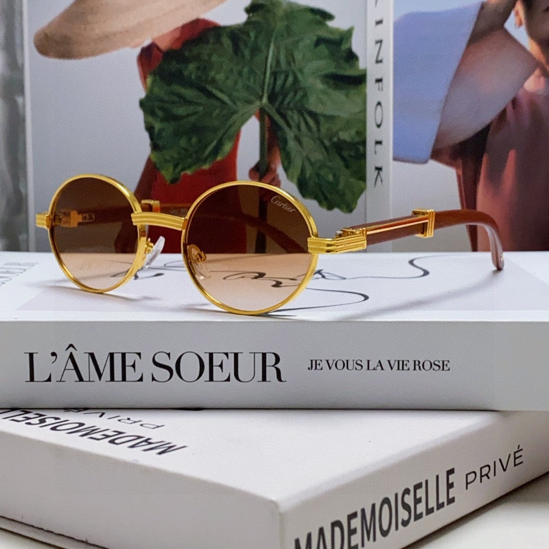 PREMIÈRE ROUND FRAME SUNGLASSES CT0464S IN METAL - Gradient brown