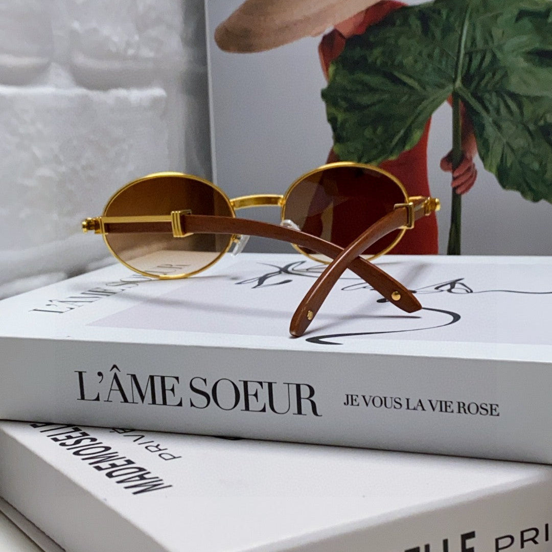 PREMIÈRE ROUND FRAME SUNGLASSES CT0464S IN METAL - Gradient brown