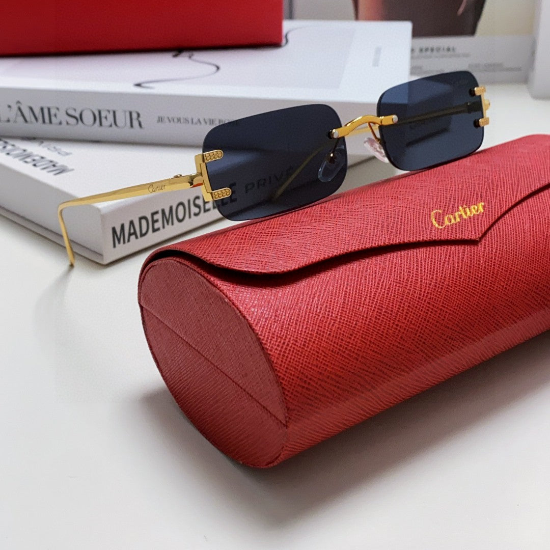 SIGNATURE C DE RECTANGULAR FRAME SUNGLASSES 575776 IN METAL - Black/ black