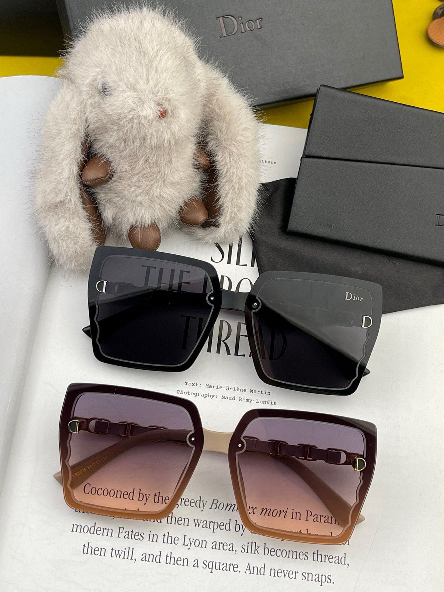 MONTAIGNE SUNGLASS CD5302 IN ACETATE EMBOSSED LOGO - Dark Beige