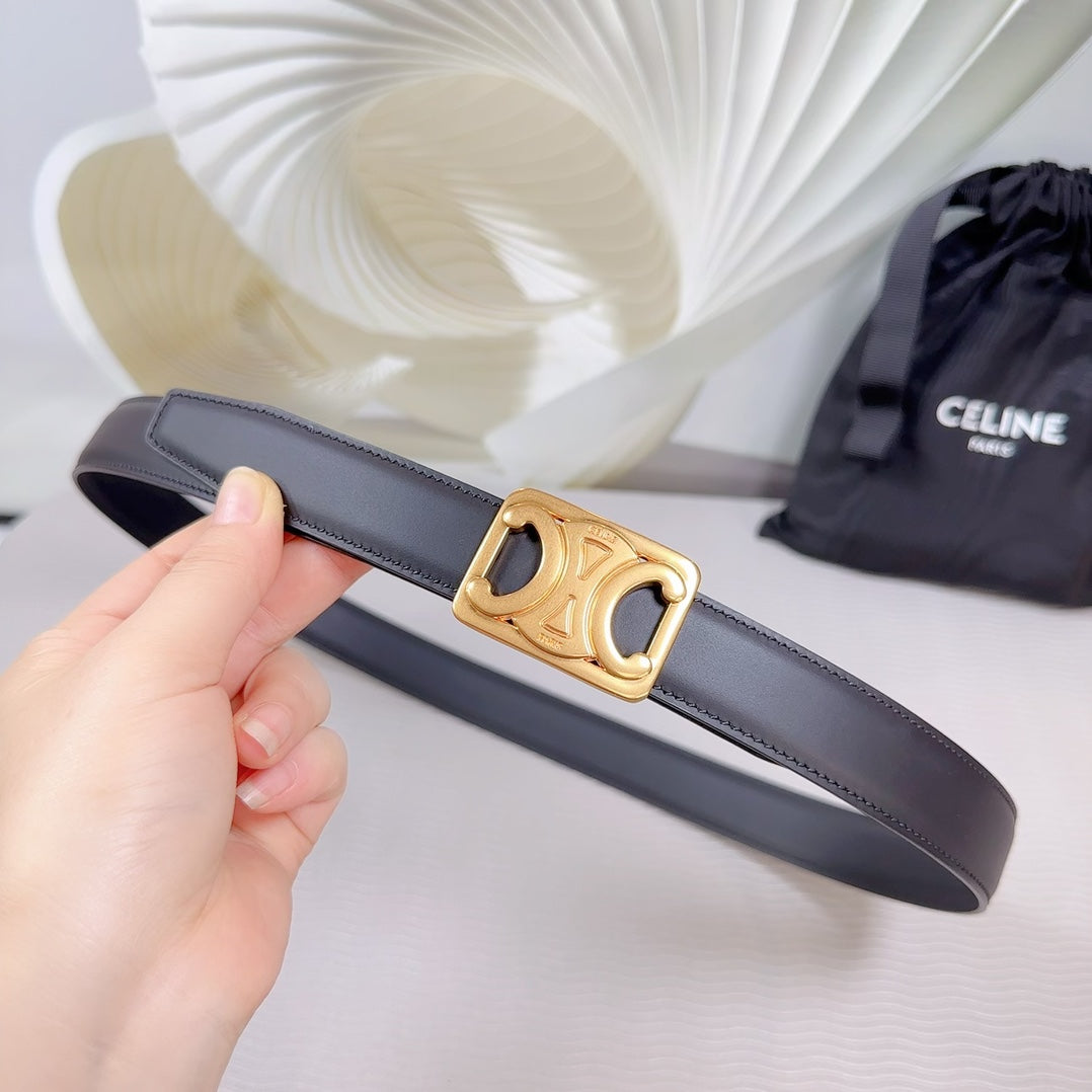 CL MEDIUM 25MM REVERSIBLE FRAMED TRIOMPHE BELT BLACK CALFSKIN GOLD HARDWARE - 30