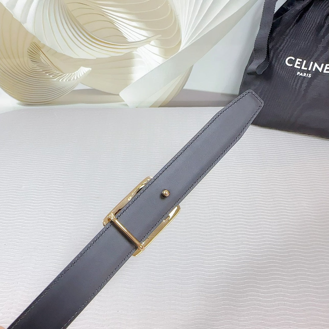 CL MEDIUM 25MM REVERSIBLE FRAMED TRIOMPHE BELT BLACK CALFSKIN LIGHT GOLD HARDWARE - 30