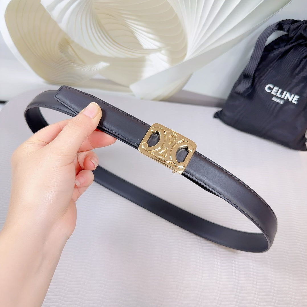 CL MEDIUM 25MM REVERSIBLE FRAMED TRIOMPHE BELT BLACK CALFSKIN LIGHT GOLD HARDWARE - 30