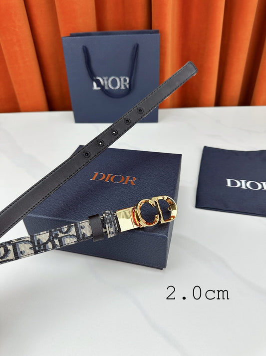 DIOR 25S BELT 20 MM 616496 - 30