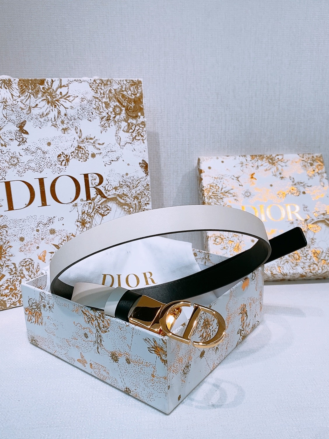 DIOR 25S BELT 20 MM IN WHITE CALFSKIN 572896 - 30